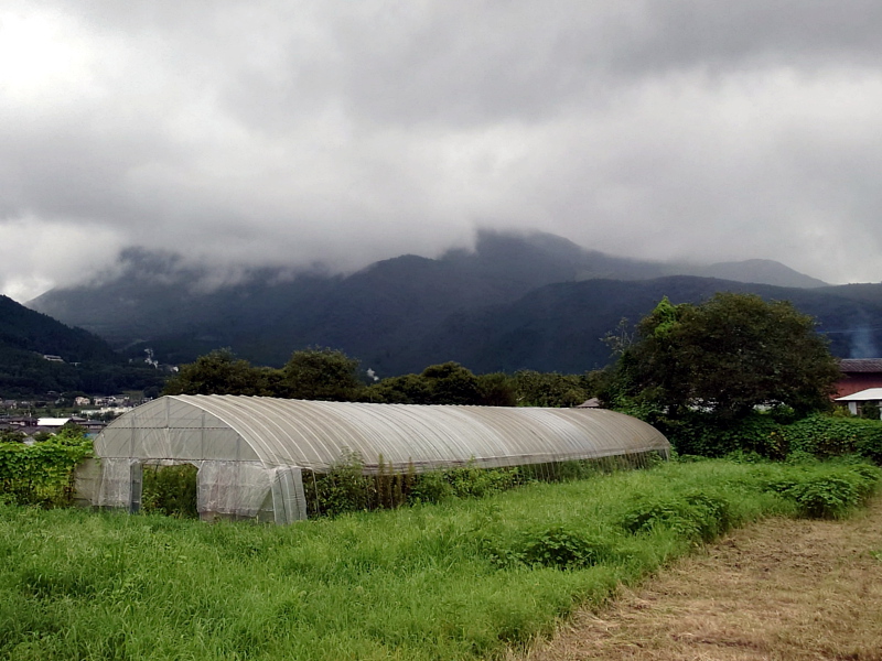 きょうの由布岳