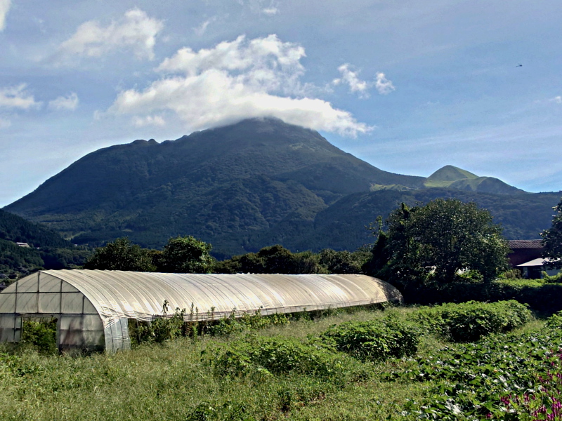 きょうの由布岳