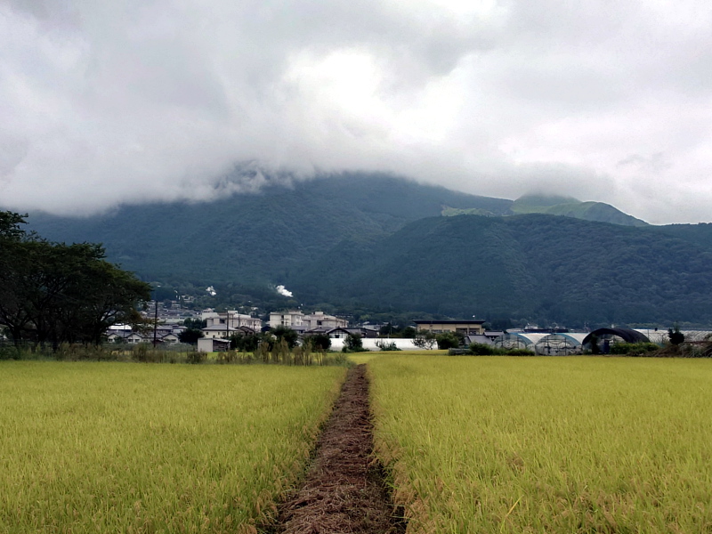 きょうの由布岳