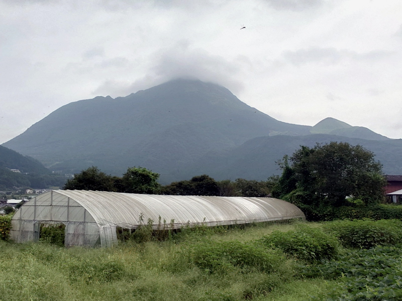 きょうの由布岳