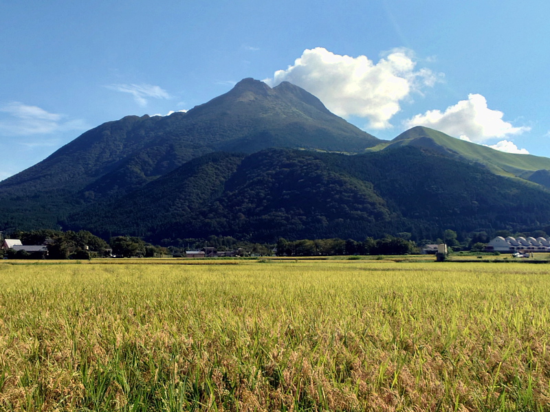 きょうの由布岳