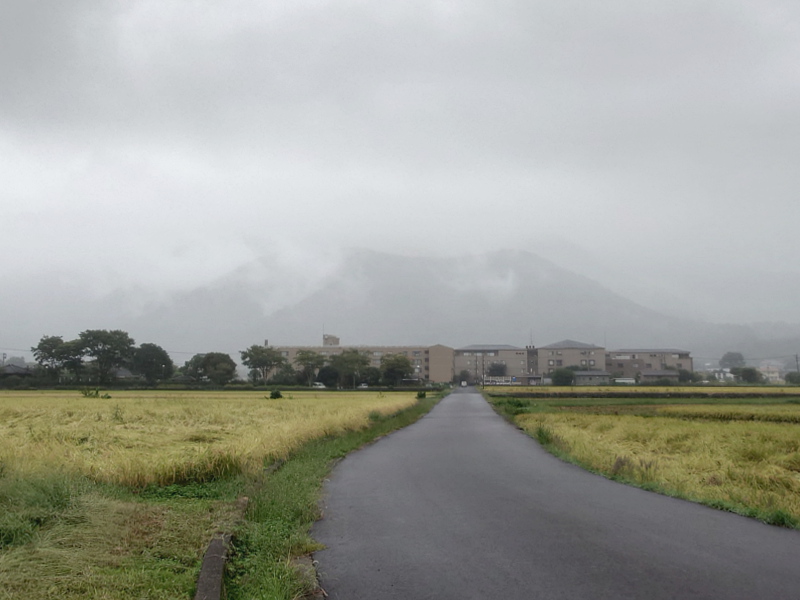 きょうの由布岳