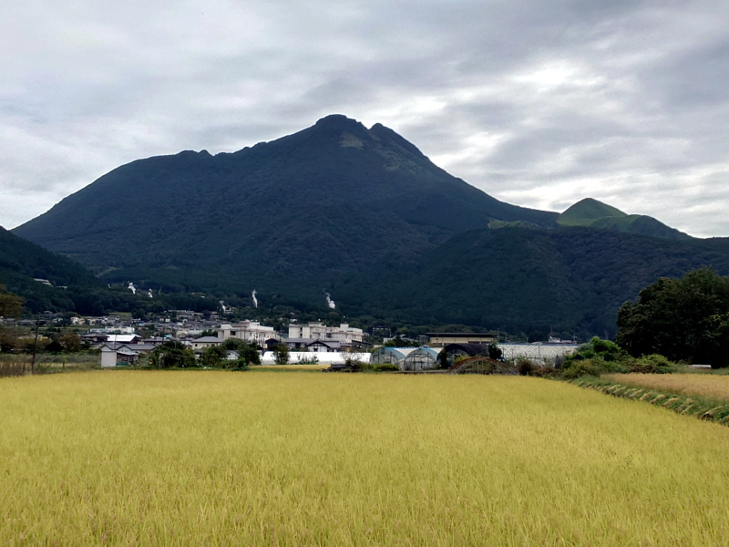 きょうの由布岳
