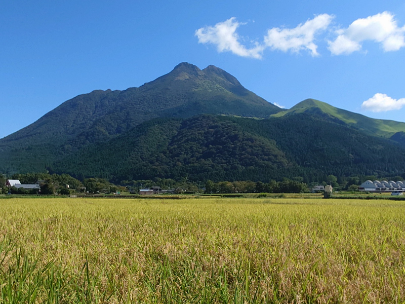 きょうの由布岳