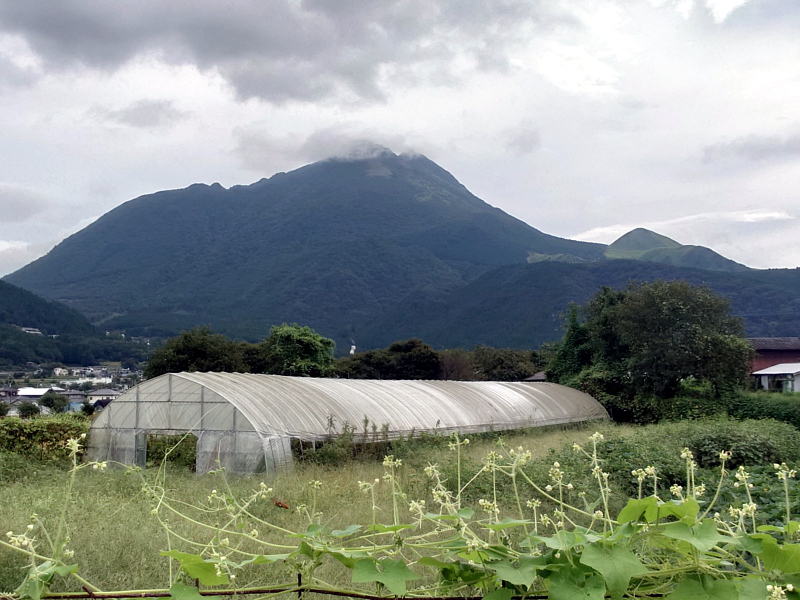 きょうの由布岳