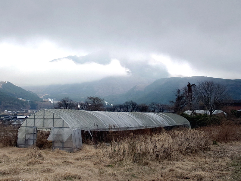 きょうの由布岳