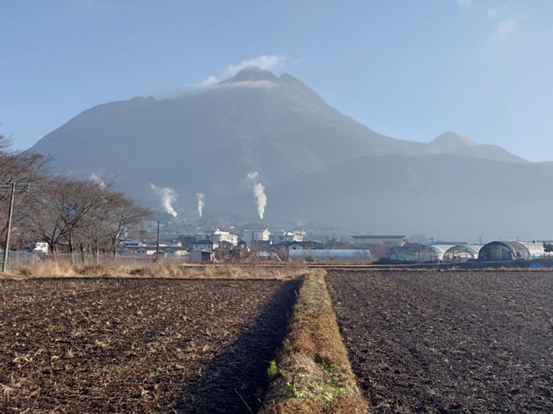 きょうの由布岳