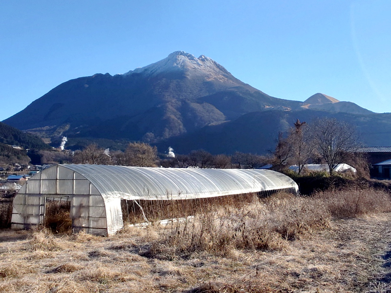きょうの由布岳