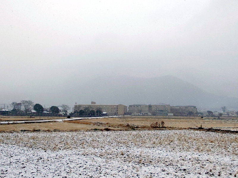 きょうの由布岳