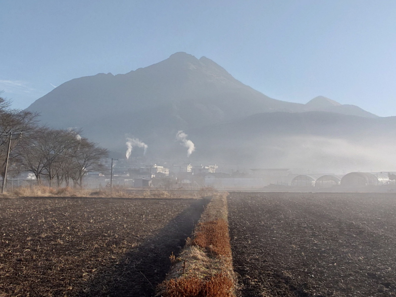 きょうの由布岳