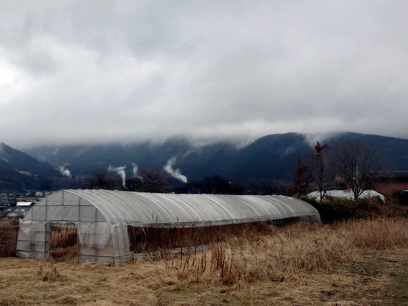 きょうの由布岳