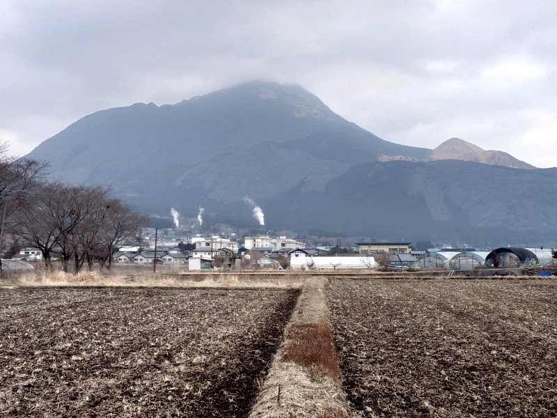 きょうの由布岳