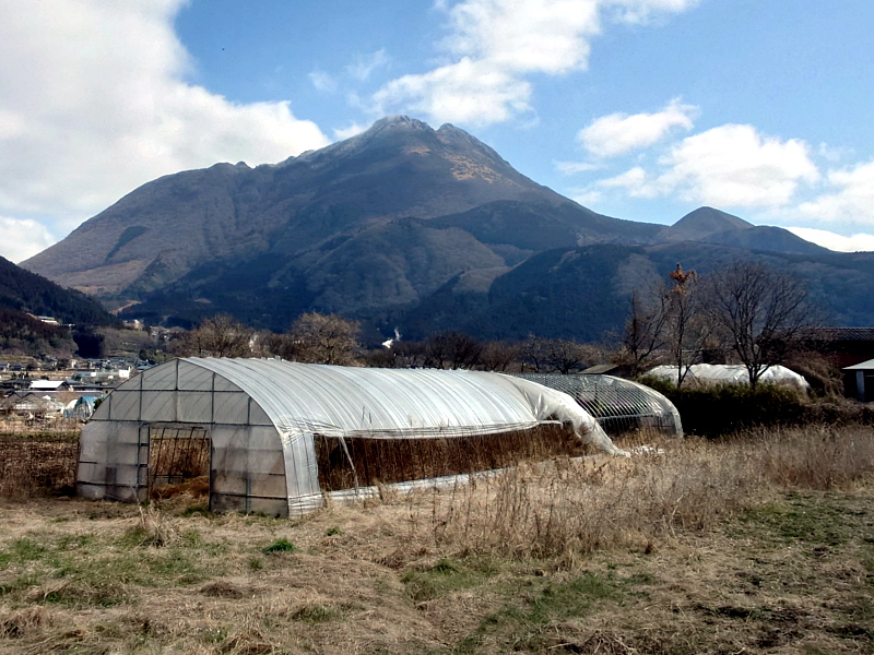 きょうの由布岳