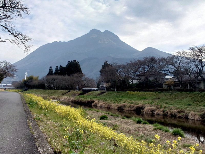 きょうの由布岳