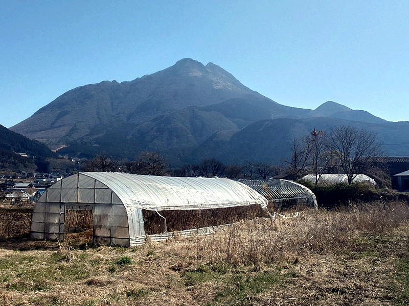 きょうの由布岳
