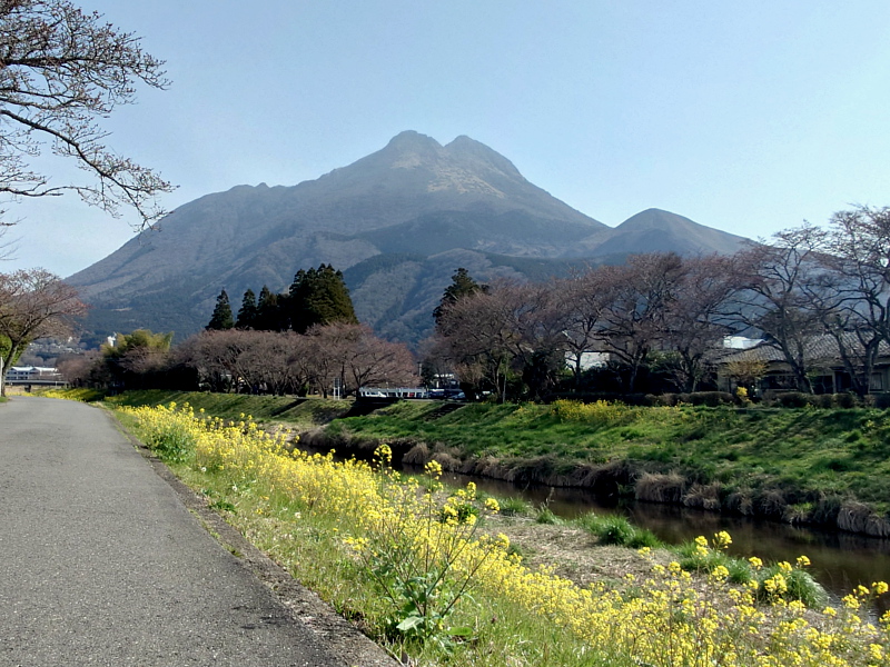 きょうの由布岳