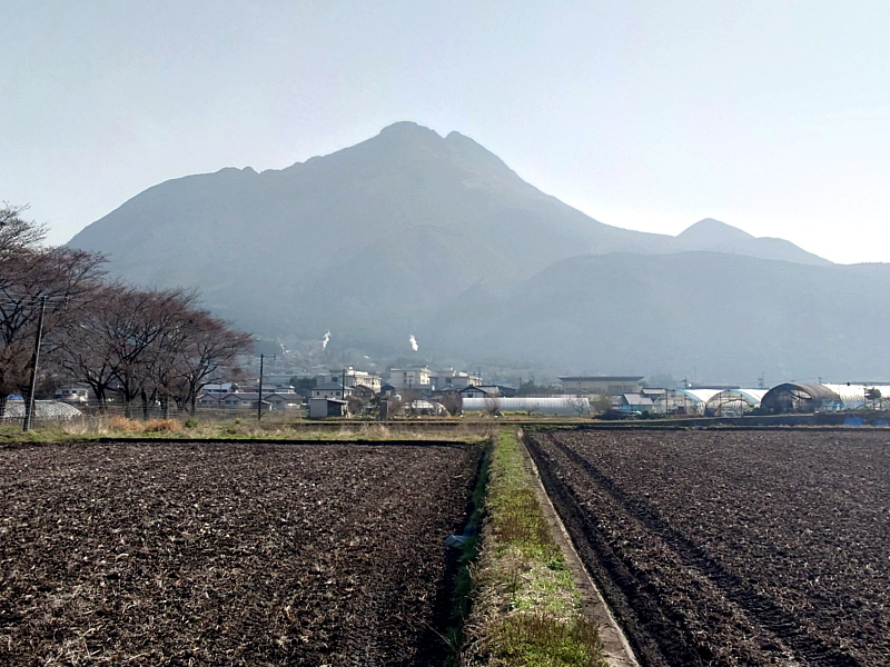 きょうの由布岳