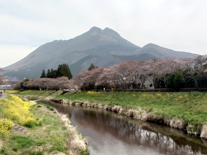 きょうの由布岳