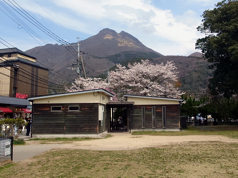 きょうの由布岳