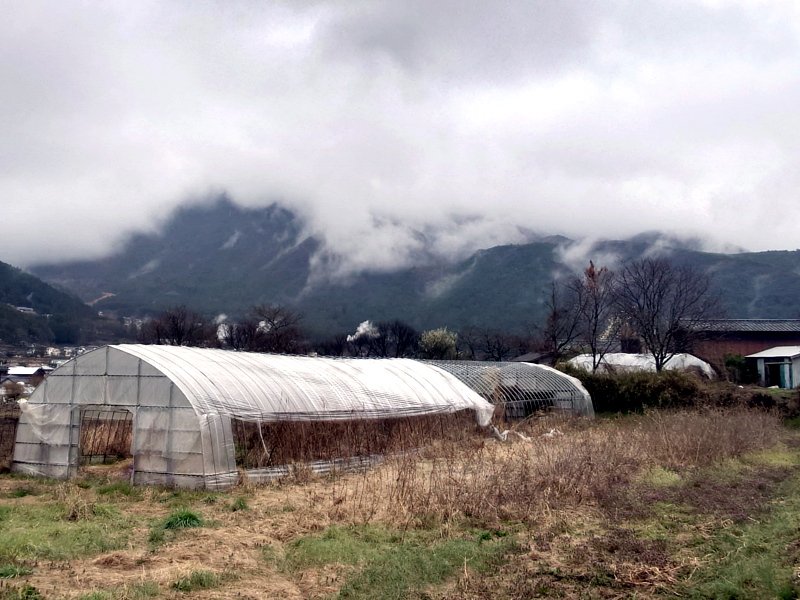 きょうの由布岳