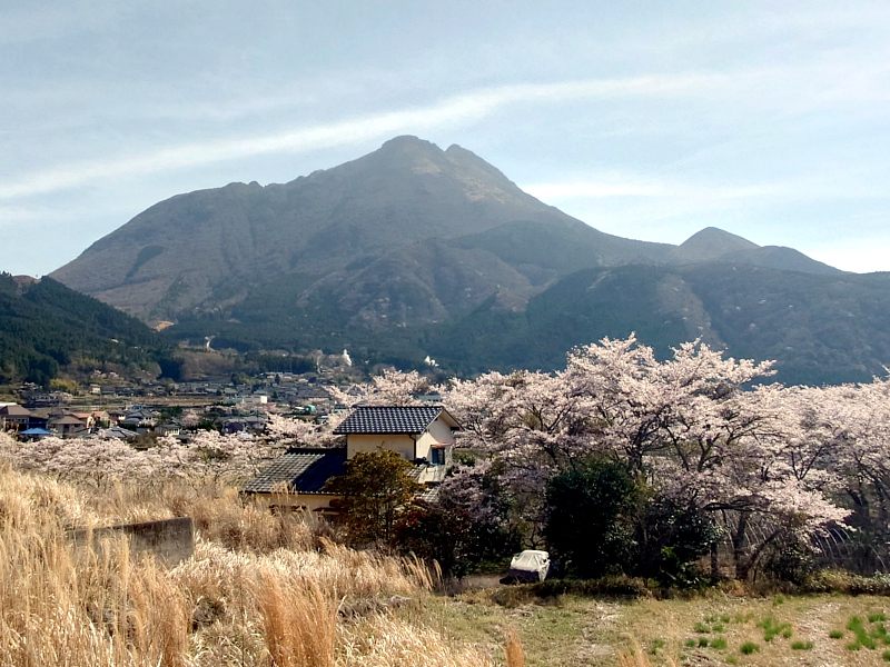 きょうの由布岳