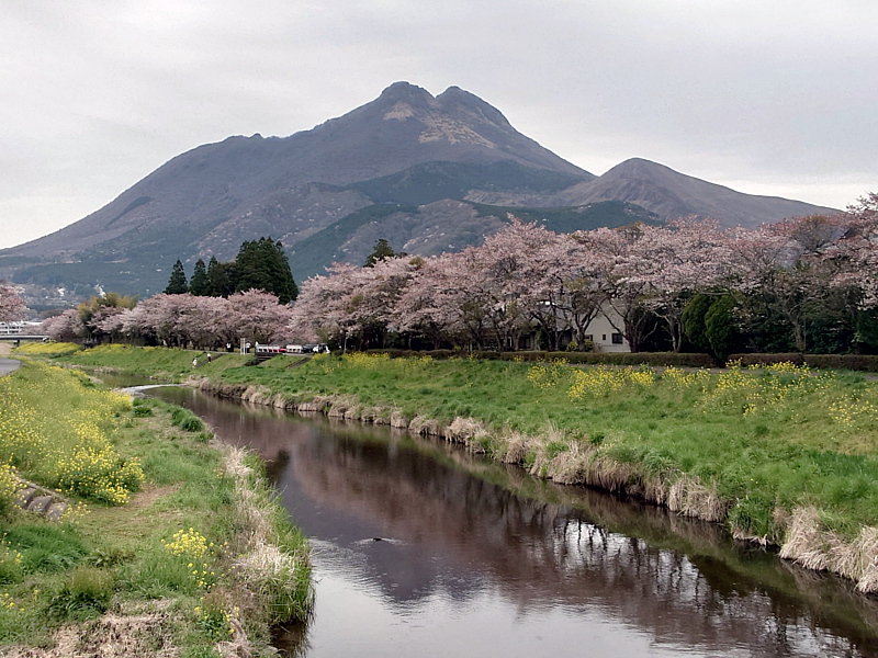 きょうの由布岳