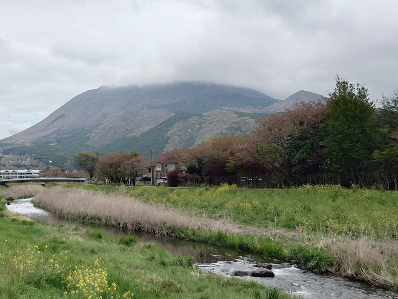 きょうの由布岳